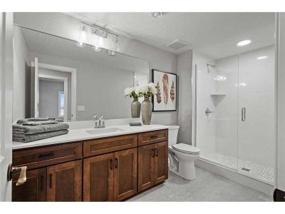 Basement Bathroom Renovation Fairview