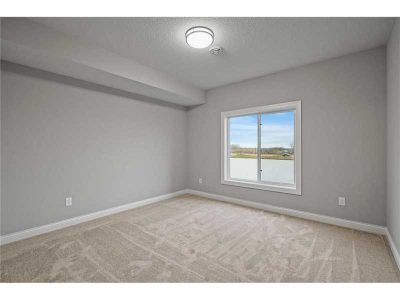 Basement Bedroom Remodeling Fairview