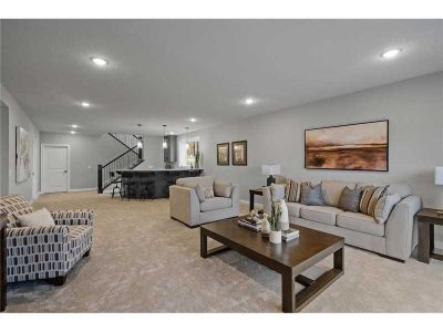 Basement Living Room Fairview